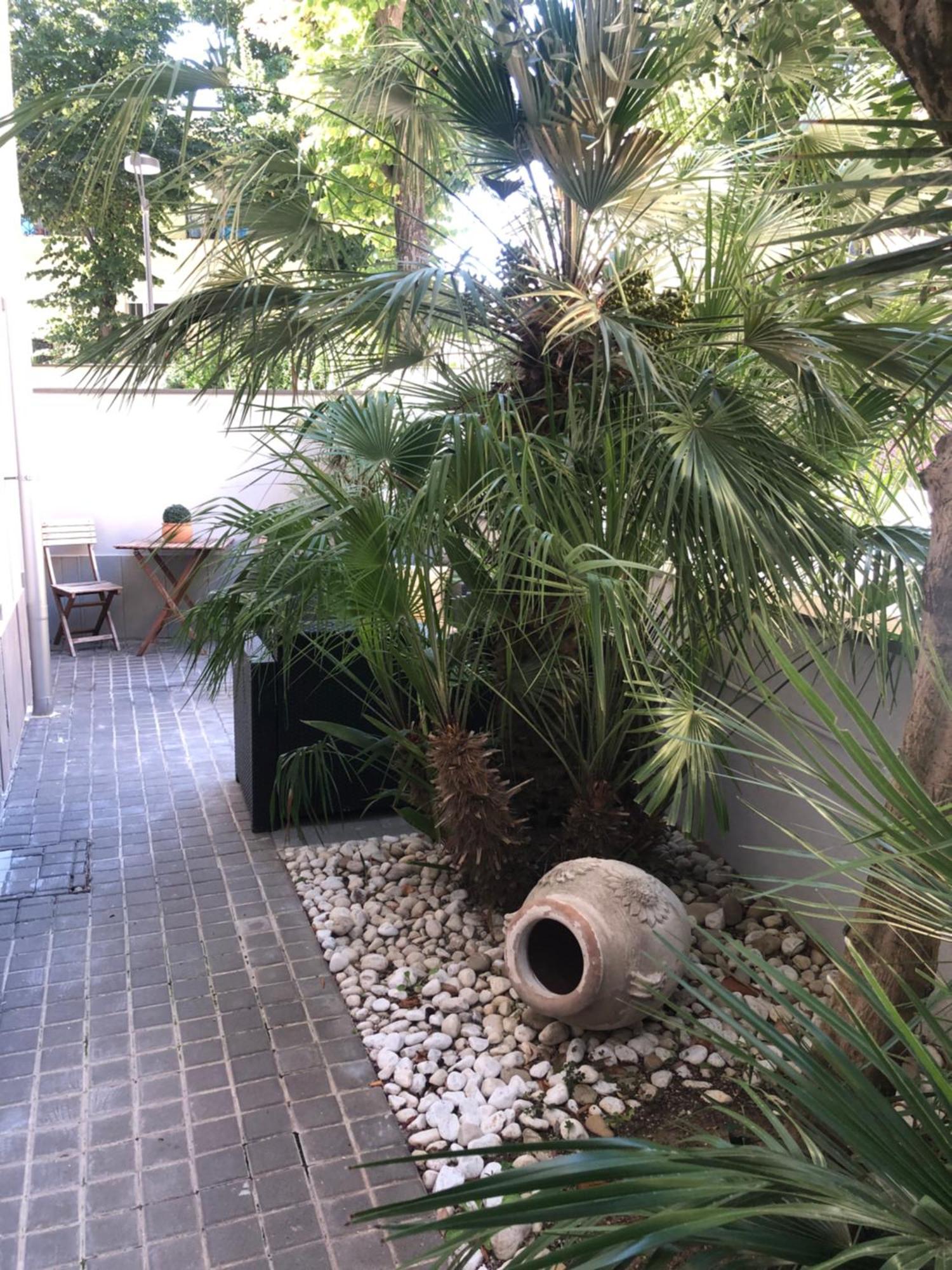 A Casa Minerva Apartment Rimini Luaran gambar